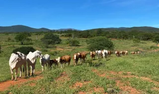 Cantanhede recebe o Campo Paralímpico Jovem