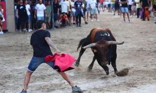 Un aficionado acaba en el hospital tras sufrir una cogida en los toros de Vila-real