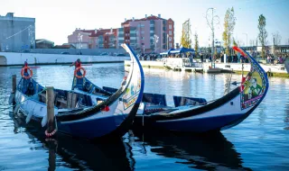 Conhecer melhor em Aveiro a cultura chinesa até janeiro