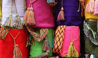 Mochilas escolares devem ter "10% do peso" da criança, alças largas e têm de estar "sempre ajustadas à coluna"