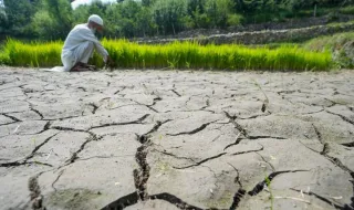 “Nunca vi um El Niño tão intenso”: cientistas alertam para fenómeno “sem precedentes”