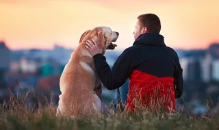 Faz isto enquanto passeia o seu cão? Pode estar a incomodá-lo sem se aperceber