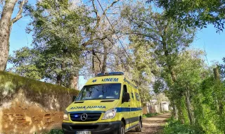Octogenário morre em despiste de “papa-reformas”