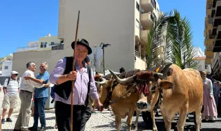 Sines cumpre tradição do Banho 29 entre mergulho madrugador e cortejo de memória
