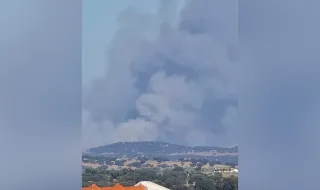 IP2 cortado entre Monte do Trigo e Portel devido a incêndio que mobiliza 179 operacionais