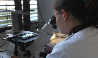 Cientistas criam novo mapa molecular do autismo com ajuda de inteligência artificial
