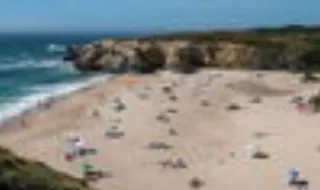 Alga invasora alastra na costa de Sines e ameaça biodiversidade