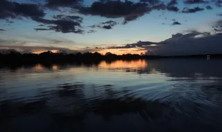 Ciência na Amazônia precisa de protagonismo local