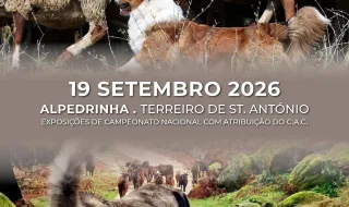 FUNDÃO: Alpedrinha recebe duas exposições especializadas de cães no âmbito do Chocalhos 2026
