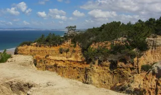 Mais de 200 estudantes da FCH da Católica participam em ação de limpeza na Praia da Mata