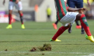 Marítimo ameaça avançar para tribunal por críticas ao relvado