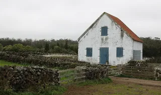 Ilha Terceira aposta no enoturismo