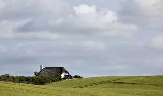 Comissão propõe extensão do fechamento de pesca na Baía da Biscaia para proteger golfinhos até o inverno de 2027