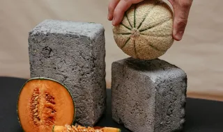 Concurso do Melhor Melão e Melancia de Alpiarça distinguiu produtores locais