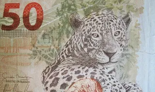 Cinquenta anos depois, China mantém legado de Mao
