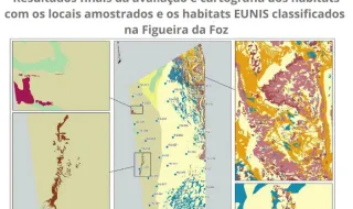 O IPMA publicou, a 31 de agosto, os relatórios finais do projeto PRR “Estudos té…