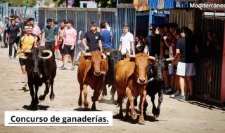 Concurs de ramaderies de les festes de la Mare de Déu de Gràcia de Vila-real