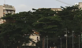 Brasil: Estação das barcas da Praça XV passa a levar o nome de Silvio Santos
