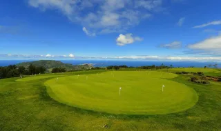 Quercus critica "aposta irracional" no golfe perante risco de crise alimentar