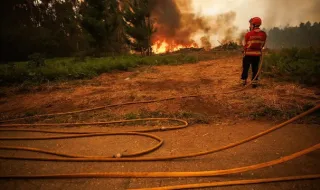 Quatro meios aéreos e 169 bombeiros combatem fogo na Lourinhã
