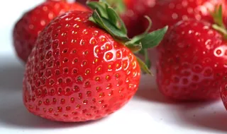 Feira Vegan do Algarve espera servir cinco mil refeições em três dias