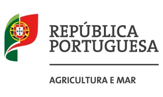 Governo reconhece como catástrofe natural os incêndios rurais de Vouzela e Valpaços e mobiliza 10 milhões de euros para restabelecer potencial produtivo