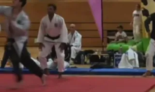 Do judo ao boxe em segundos: combate na Alemanha termina de forma surreal