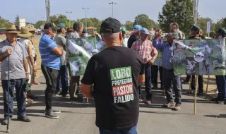 Pastores reclamam pagamentos atempados face a ataques de lobos