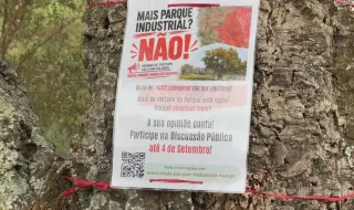 Dez casas em risco: expansão de Parque Industrial na Covilhã deixa moradores em alerta