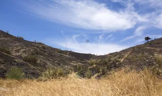 Terça-feira com céu pouco nublado e vento forte no litoral oeste e terras altas