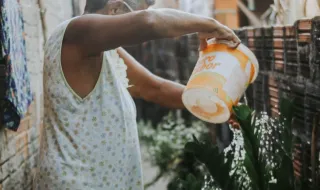 25 milhões para regadios afetados pelas tempestades