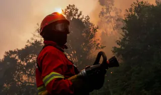 Incêndio em Estremoz em fase de resolução com cerca de 280 operacionais no terreno